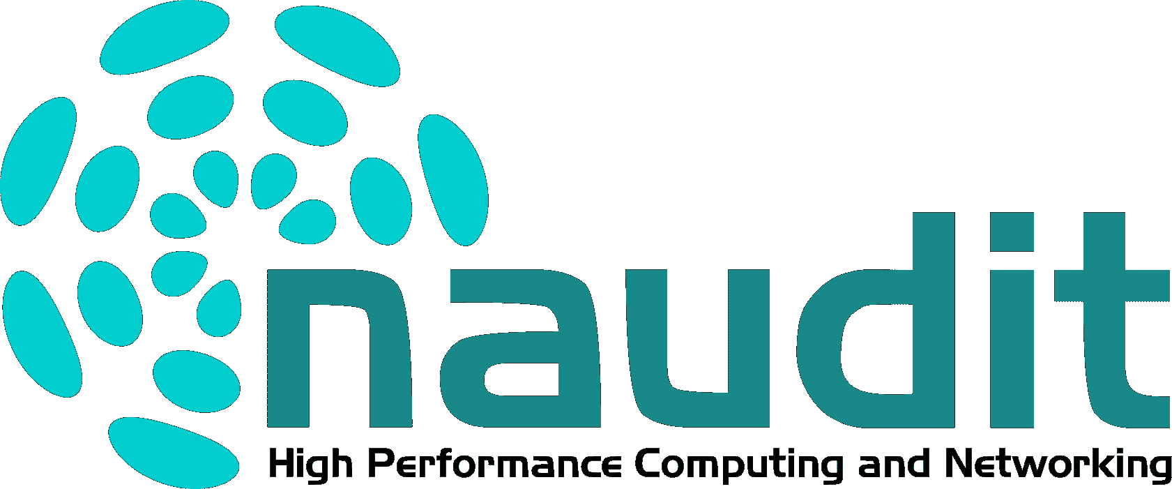 Naudit Software Server